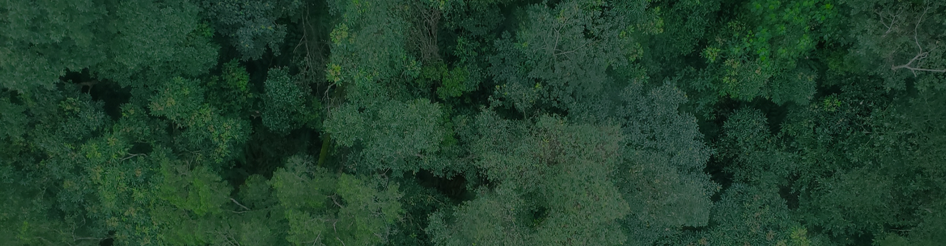 超低频油田回注水处理技术