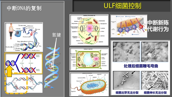 电磁杀菌稳定技术